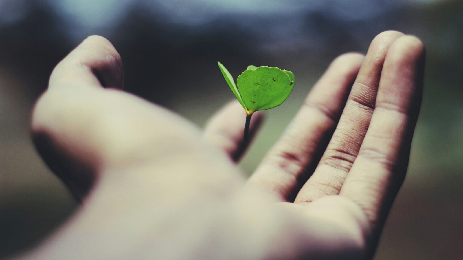 Unlock Your Full Potential with New Me Coaching and Hypnotherapy